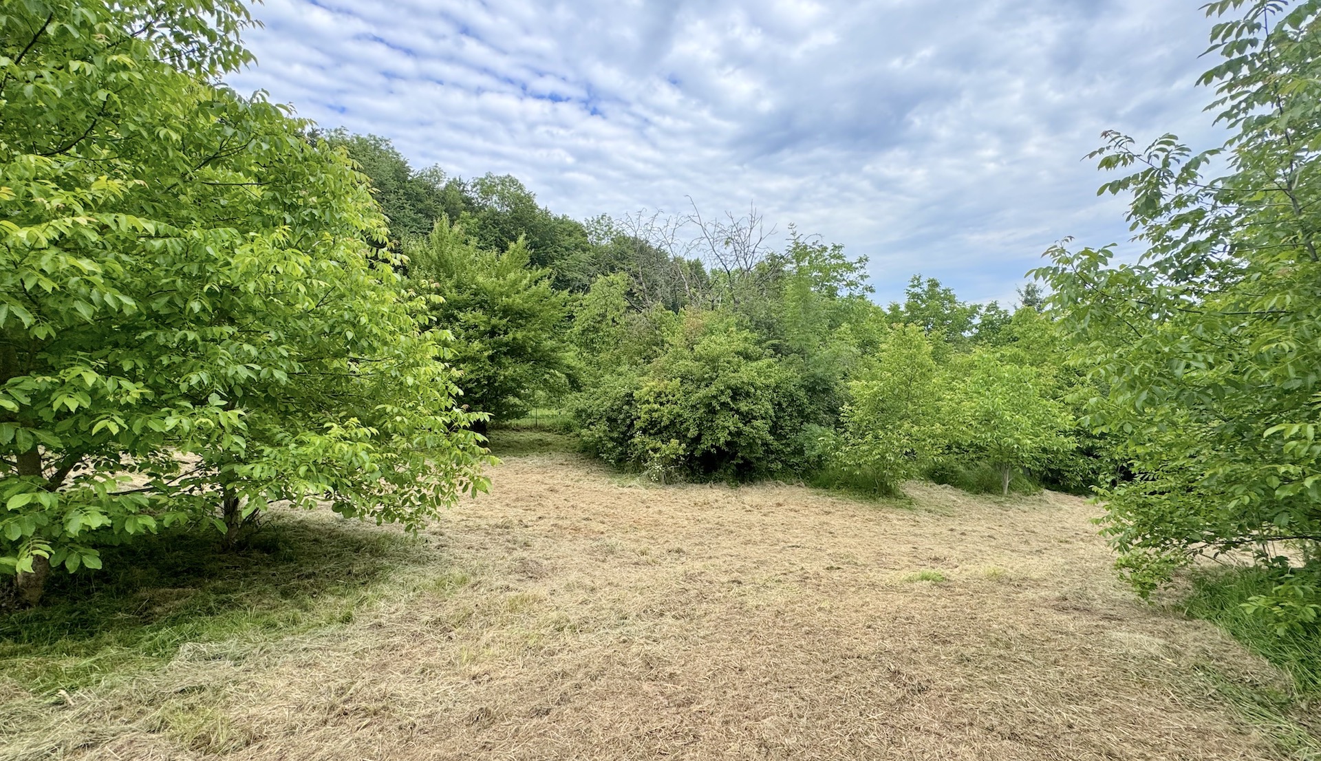 bz-immobilien